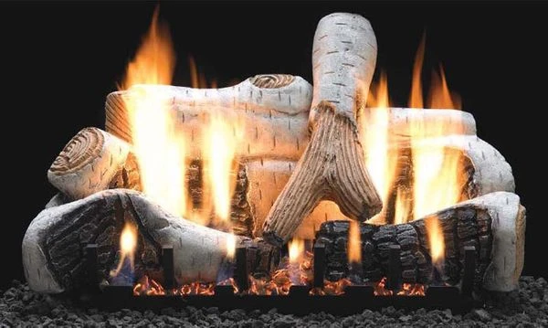 Empire 18' Birch Ceramic Fiber Vented Propane Gas Logs Set And Millivolt Remote Control Slope Glaze Burner