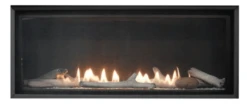 Empire 46 Inch Loft Direct Vent Gas Fireplace