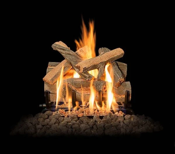 Grand Canyon 18' Arizona Juniper See-Through Vented Natural Gas Logs Set And Stainless Steel Two Burner With 110V Electronic System