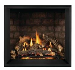 Napoleon 42 Inch Elevation X Direct Vent Propane Gas Fireplace