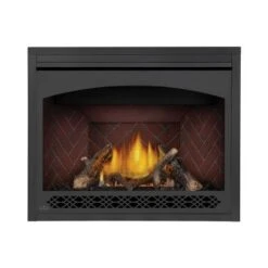Napoleon 42 Inch Ascent X Direct Vent Clean Face Fireplace - IPI Pilot
