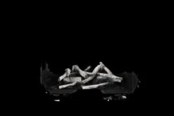 Napoleon Birch Log Set For 36' Elevation X Fireplaces