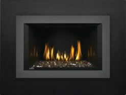 Napoleon 29 Inch Oakville G3 Direct Vent Gas Fireplace Insert (Modern)