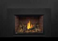 Napoleon 29 Inch Oakville 3 Direct Vent Gas Fireplace Insert (Modern)