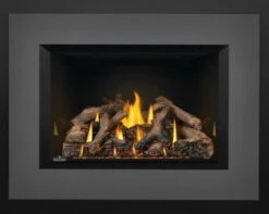 Napoleon 34 Inch Oakville X4 Direct Vent Gas Fireplace Insert (Modern)